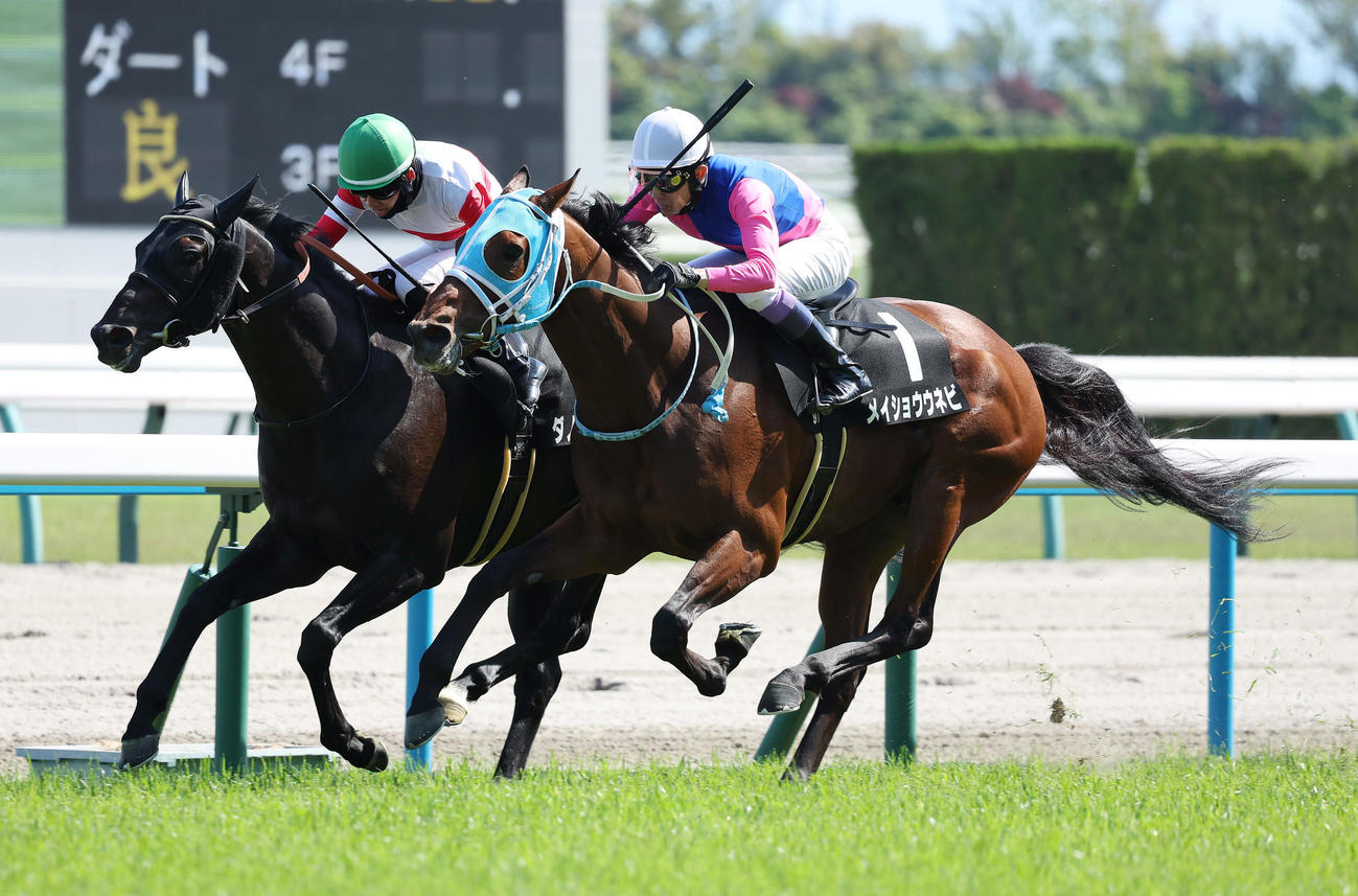 鴨川特別を制した武豊騎手騎乗のメイショウウネビ。左は2着ダノンフロイデ（撮影・前田充）