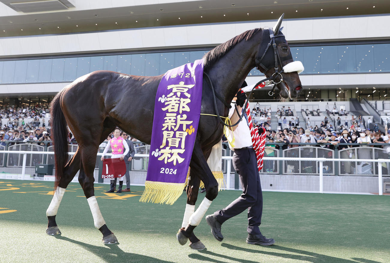 京都新聞杯を制したジューンテイク（撮影・前田充）