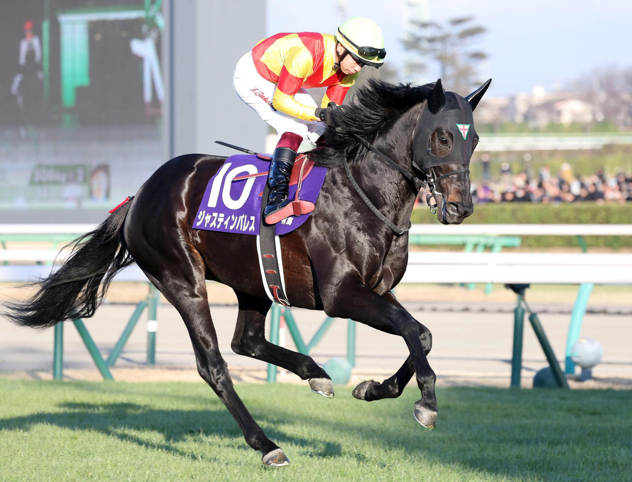 ジャスティンパレス（2023年撮影）