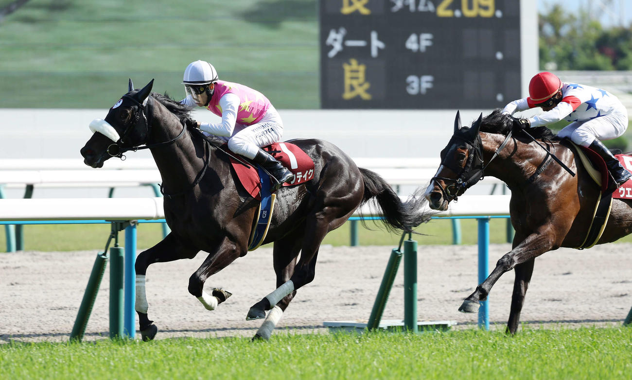 京都11R、京都新聞杯を制したジューンテイク。右は2着ウエストナウ
