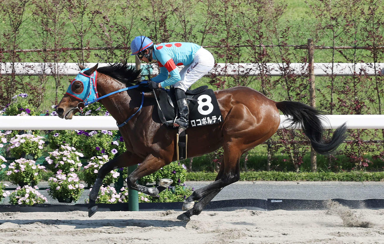 平城京Sを制した丸山騎手騎乗のロコポルティ