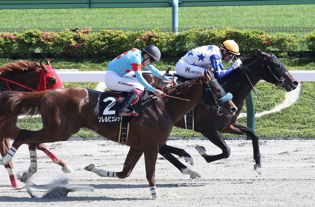 青竜Sを制したソニックスターとモレイラ騎手（奥）（撮影・丹羽敏通）