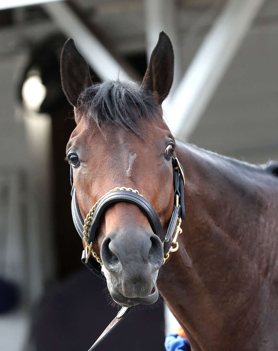 15着に敗れたフィアースネス（C）Coady Media／Churchill Downs