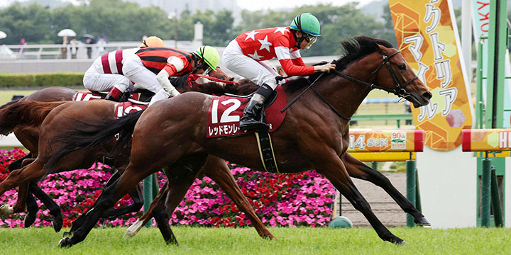 京王杯スプリングCを制したレッドモンレーヴ（手前）と横山和生騎手（撮影・鈴木正人）＝2023年5月13日、東京競馬場