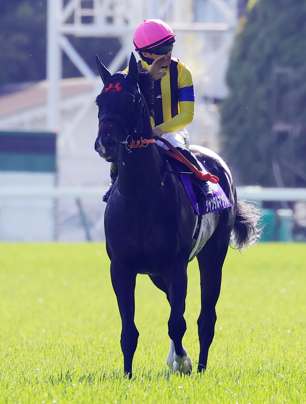 東京11R、NHKマイルCを制したジャンタルマンタルの川田騎手は、ファンの祝福に答える（撮影・野上伸悟）