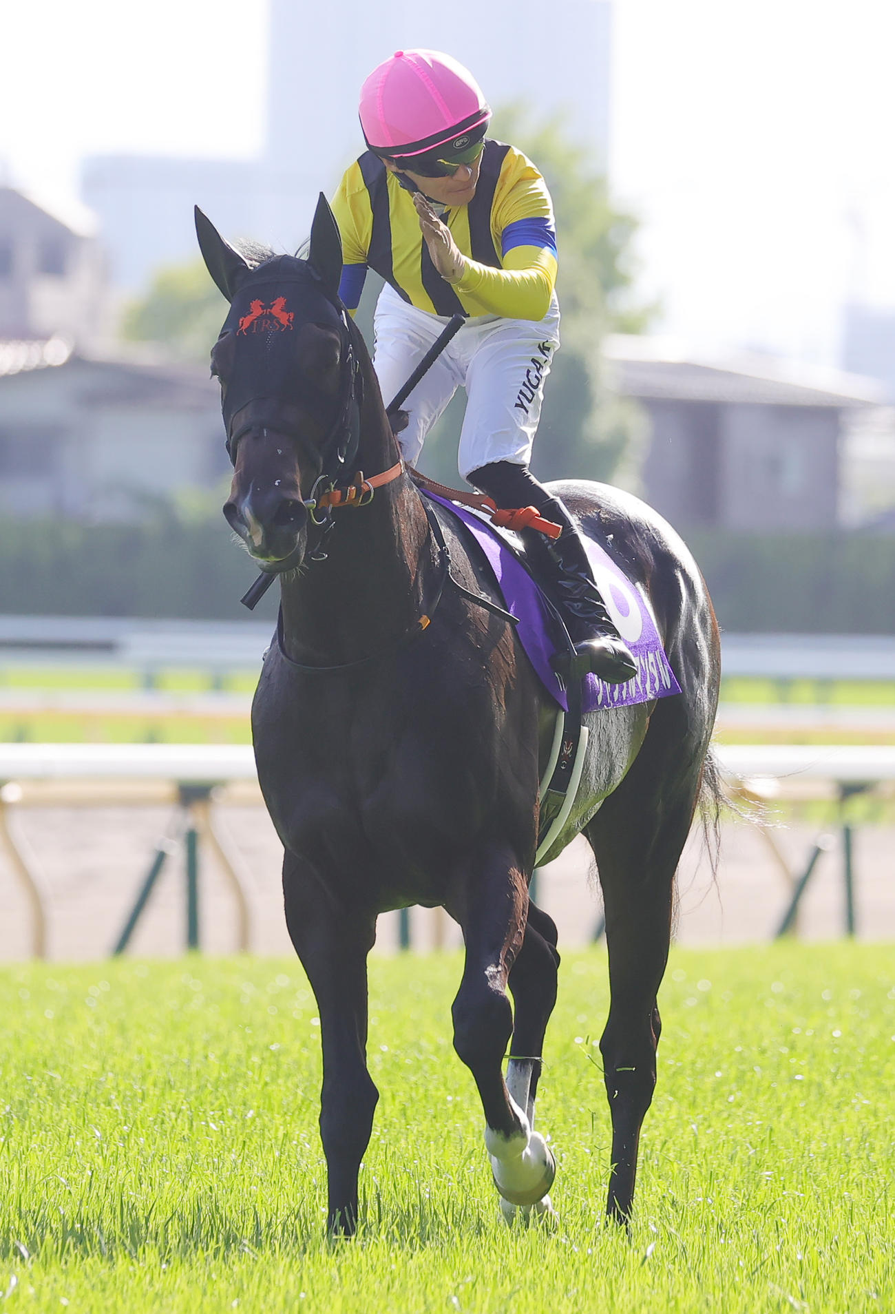 東京11R、NHKマイルCを制したジャンタルマンタルの川田騎手は、ファンの祝福に応える（撮影・野上伸悟）