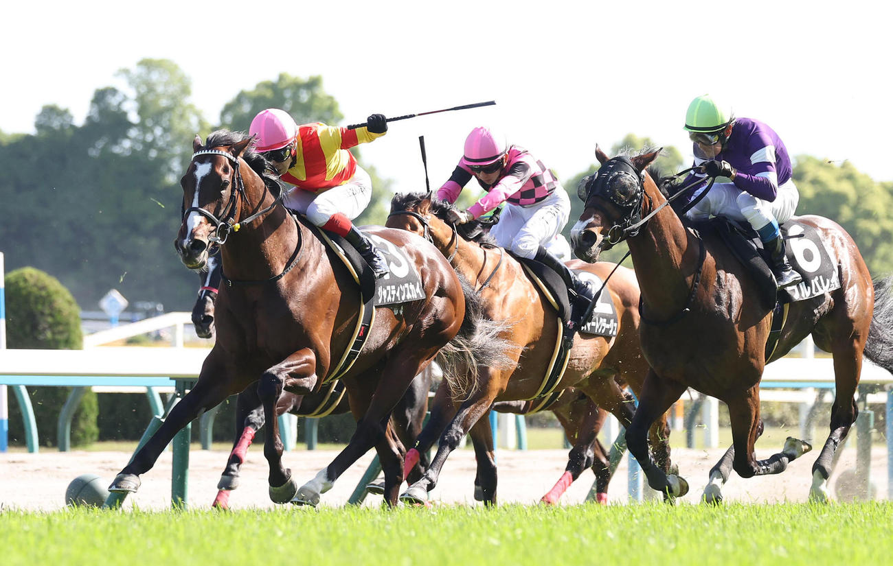 京都11R、直線抜け出して鞍馬Sを制したジャスティンスカイ（左）（撮影・白石智彦）