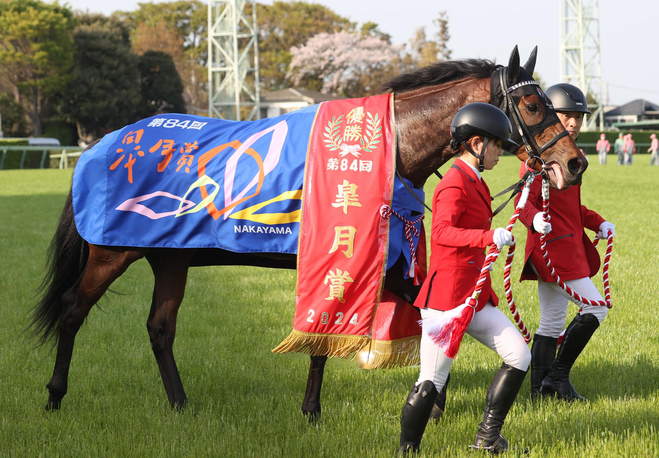 皐月賞馬ジャスティンミラノ（2024年4月14日撮影）