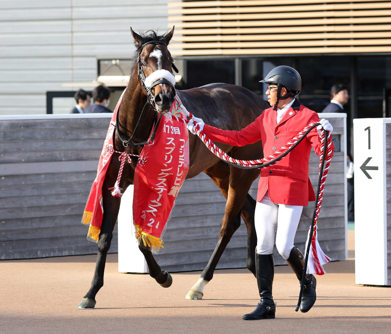 スプリングSを制したシックスペンス（2024年3月17日撮影）