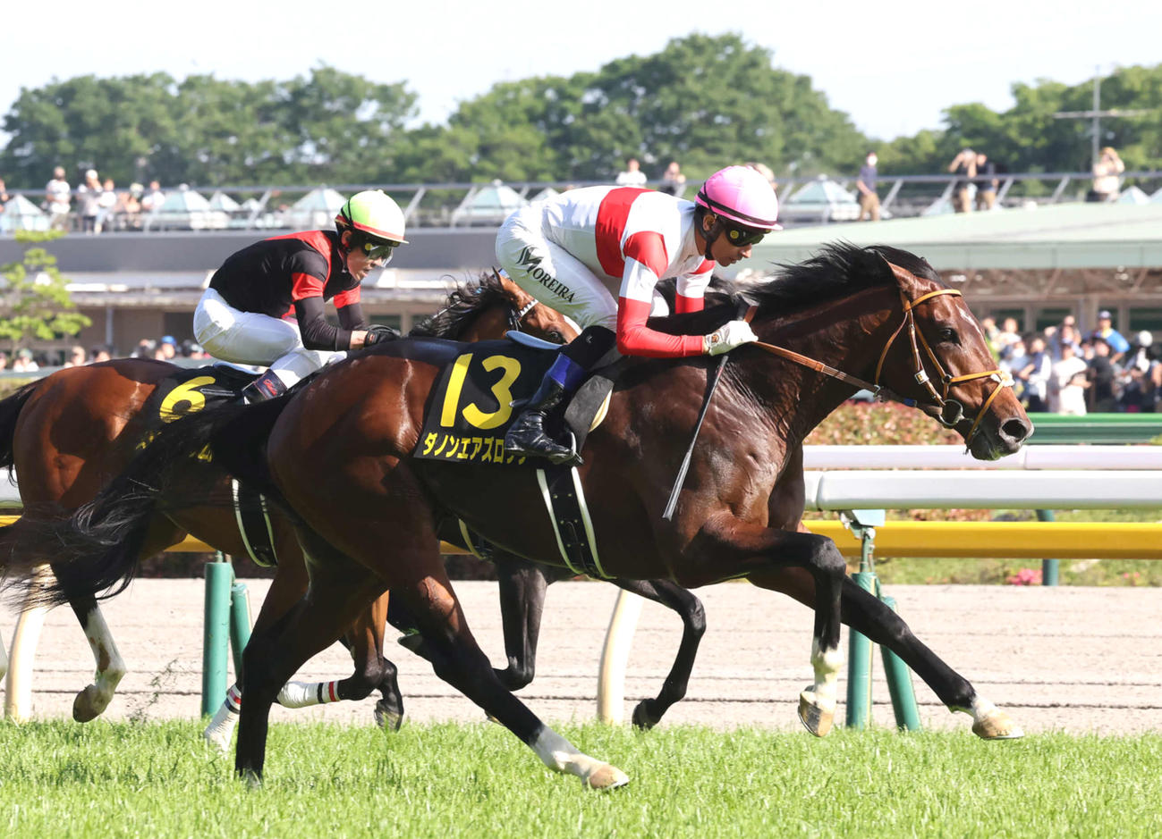 プリンシパルSを制したダノンエアズロックとモレイラ騎手（撮影・丹羽敏通）