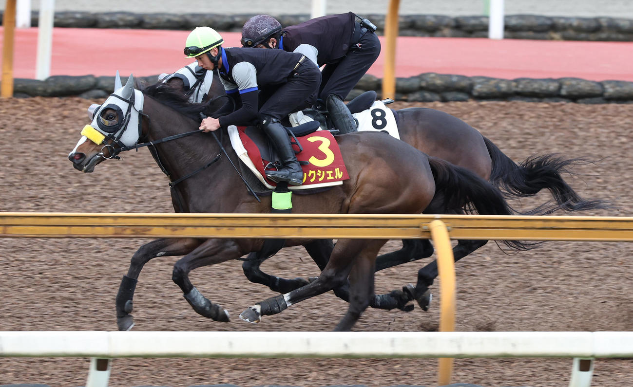 CWコースで併せ馬で追い切るコンクシェル（手前）
