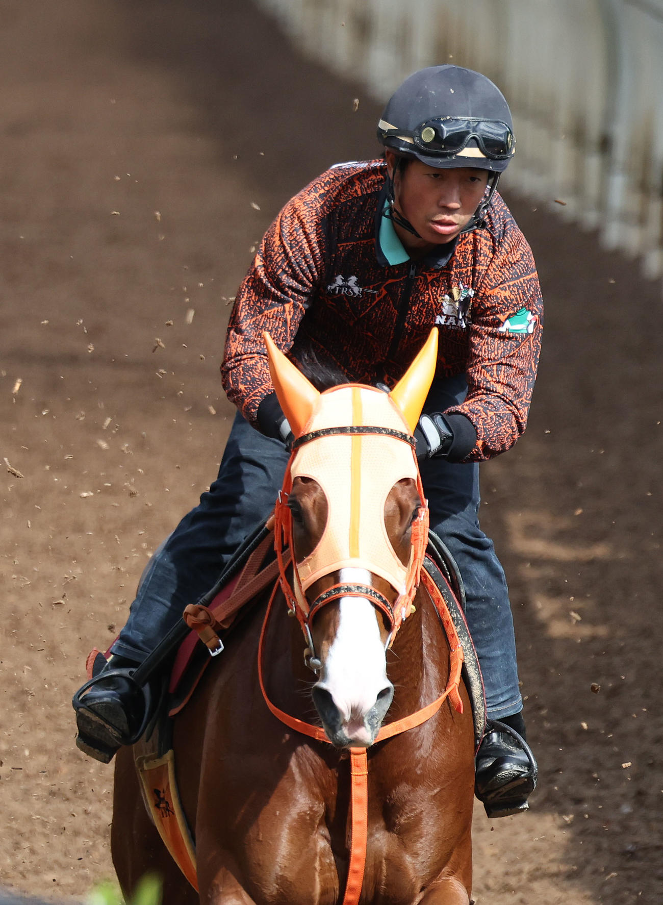 坂路を単走で追い切るナミュール（撮影・白石智彦）