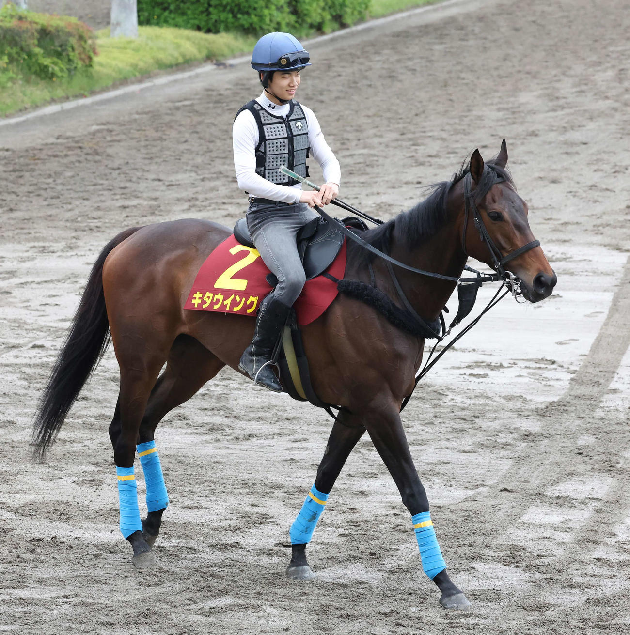 馬場へ向かうキタウイング（撮影・丹羽敏通）