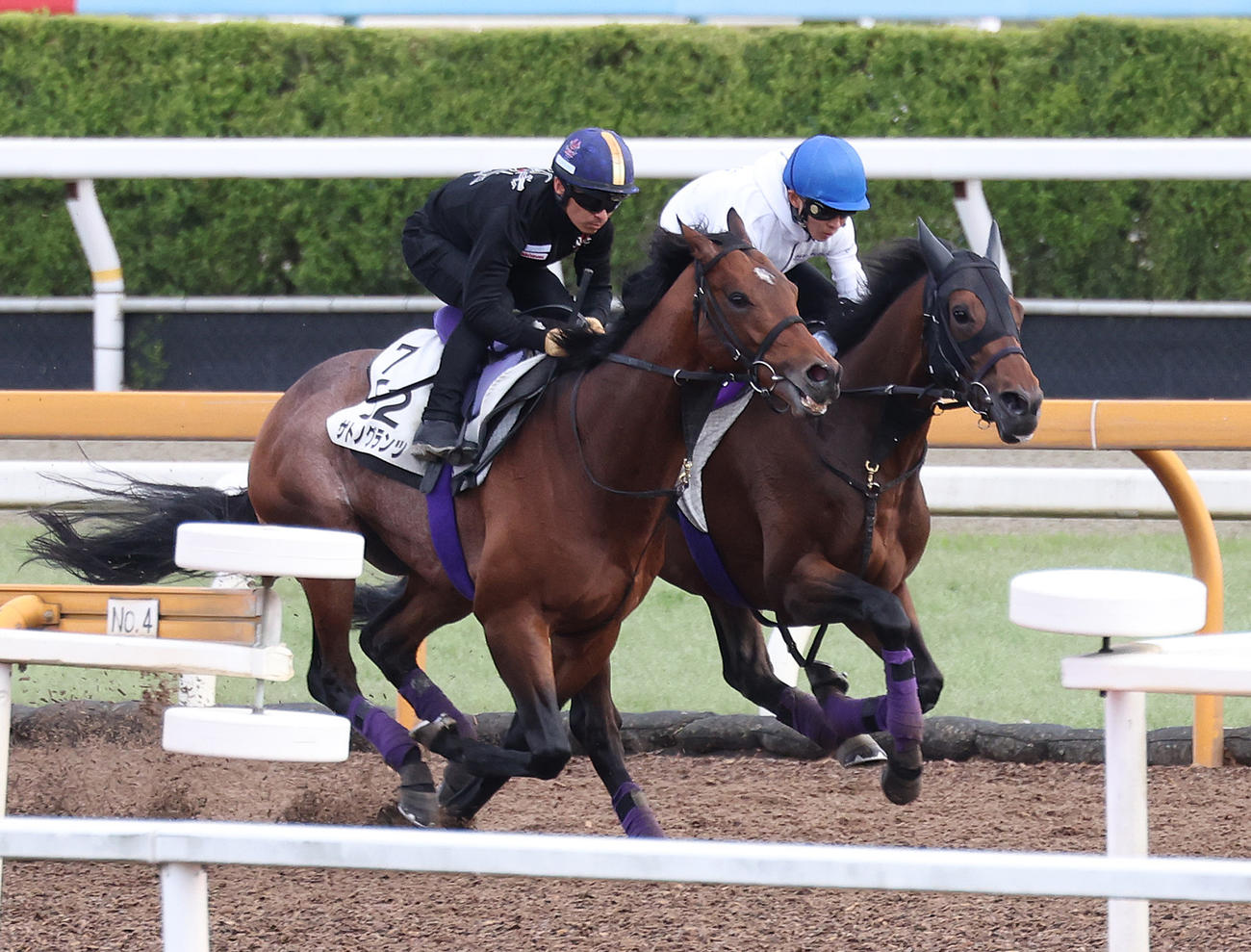 Cウッドをサトノグランツ（左）と併せ馬で追い切るジャスティンミラノ（撮影・白石智彦）