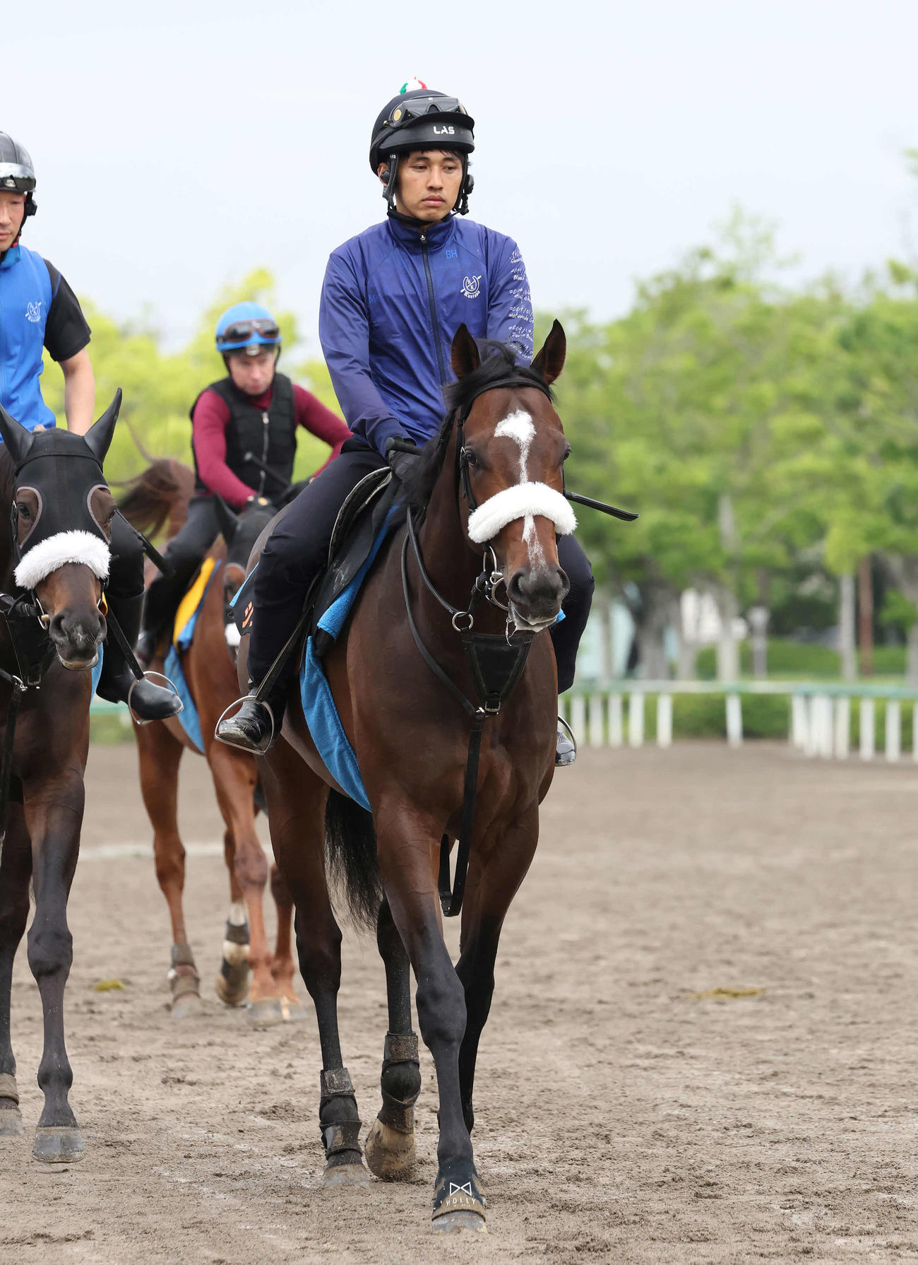 馬場へ向かうシックスペンス（撮影・丹羽敏通）
