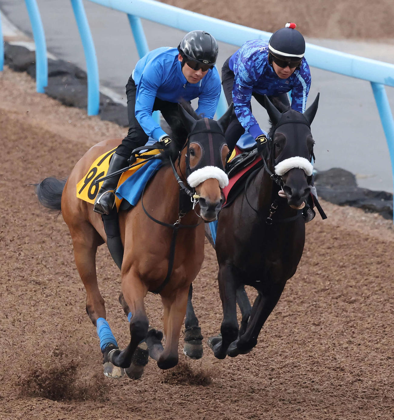 フィアスプライド（右）は美浦ウッドを併せ馬で追い切られた（撮影・丹羽敏通）