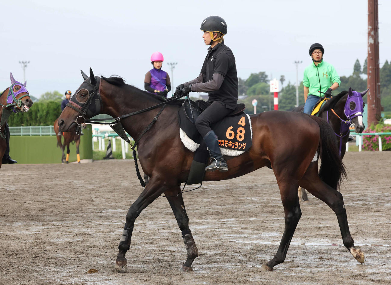馬場へ向かうコスモキュランダ（撮影・丹羽敏通）
