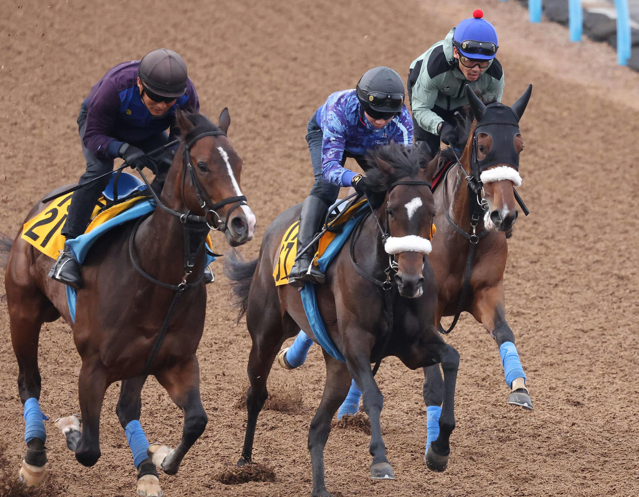 ステレンボッシュ（右）は戸崎騎手を背に美浦ウッドを3頭併せで追い切られた（撮影・丹羽敏通）