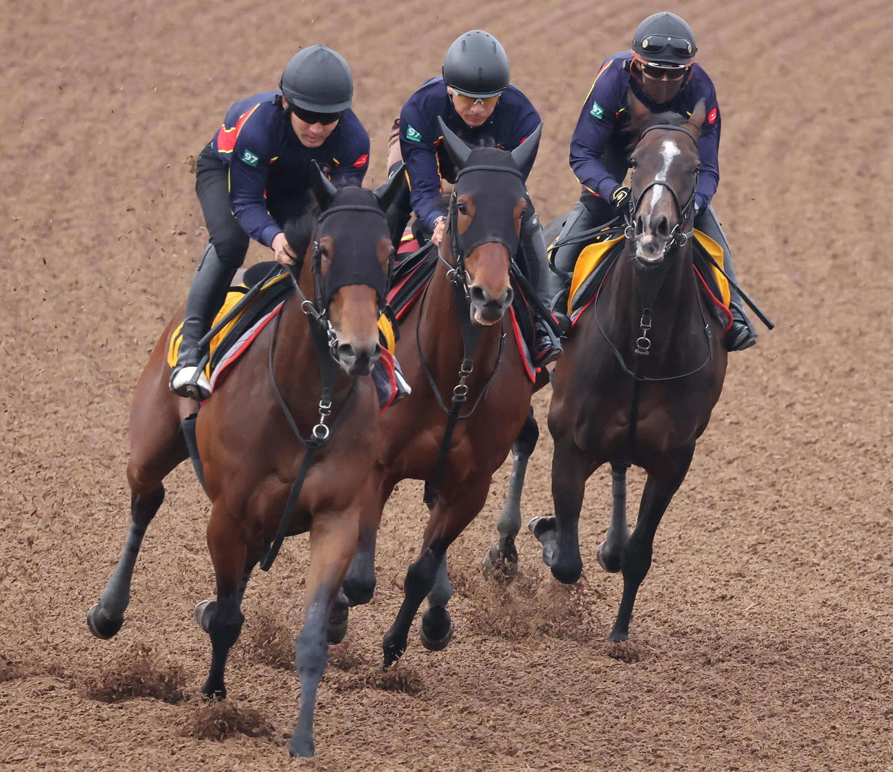 ウンブライル（中央）は美浦ウッドでプレサージュリフト（右）らと3頭併せで追い切られた