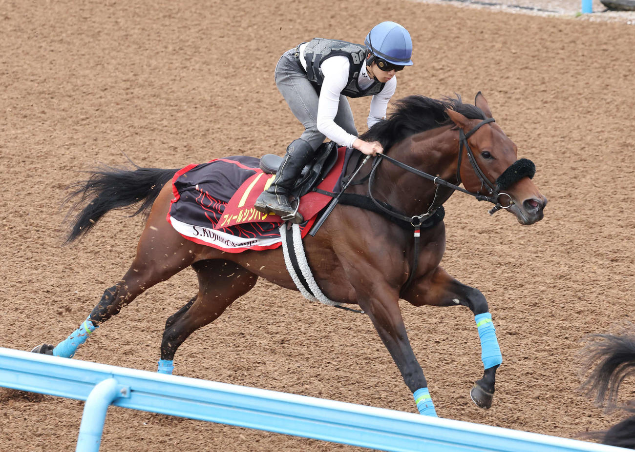 フィールシンパシーは横山琉騎手を背に美浦ウッドで追い切られた（撮影・丹羽敏通）