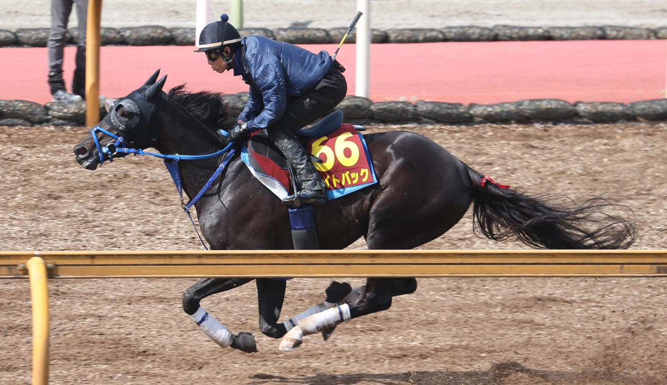 Cウッドコースにて併せ馬で追い切るライトバック