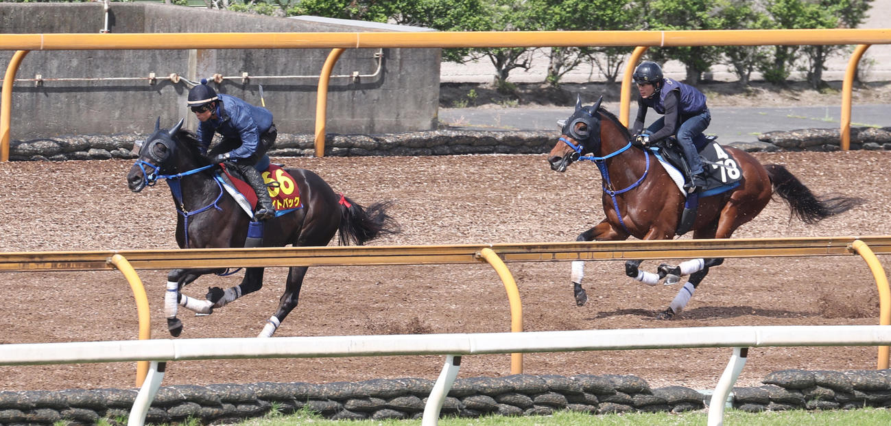 Cウッドコースにて併せ馬で追い切るライトバック（左）