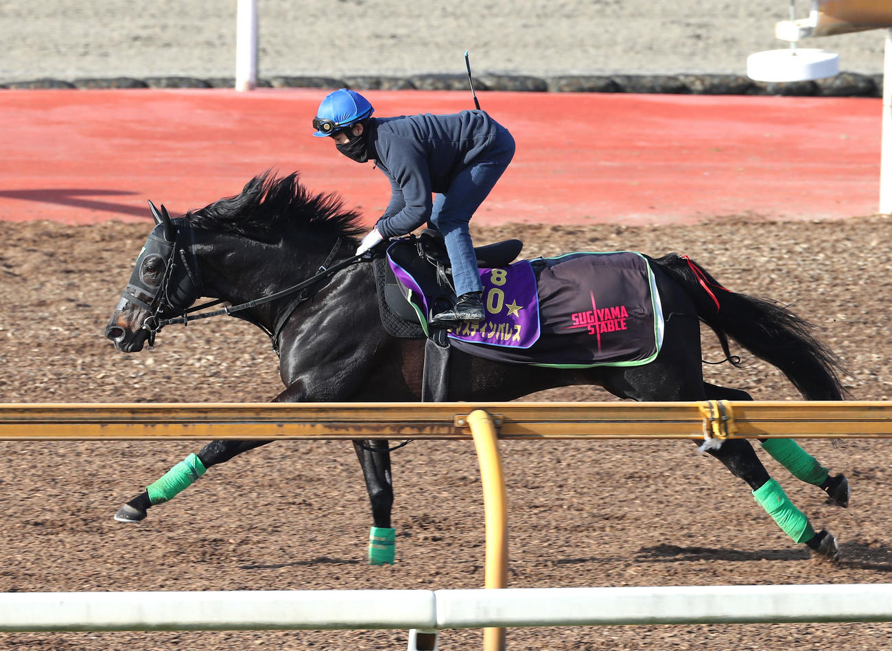 ジャスティンパレス（2024年2月28日撮影）