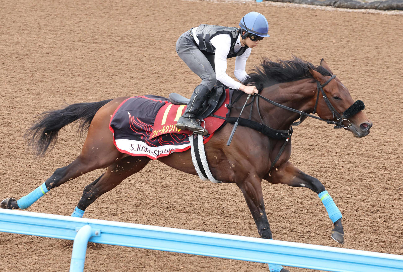 フィールシンパシーは横山琉騎手を背に美浦ウッドで追い切られた（撮影・丹羽敏通）