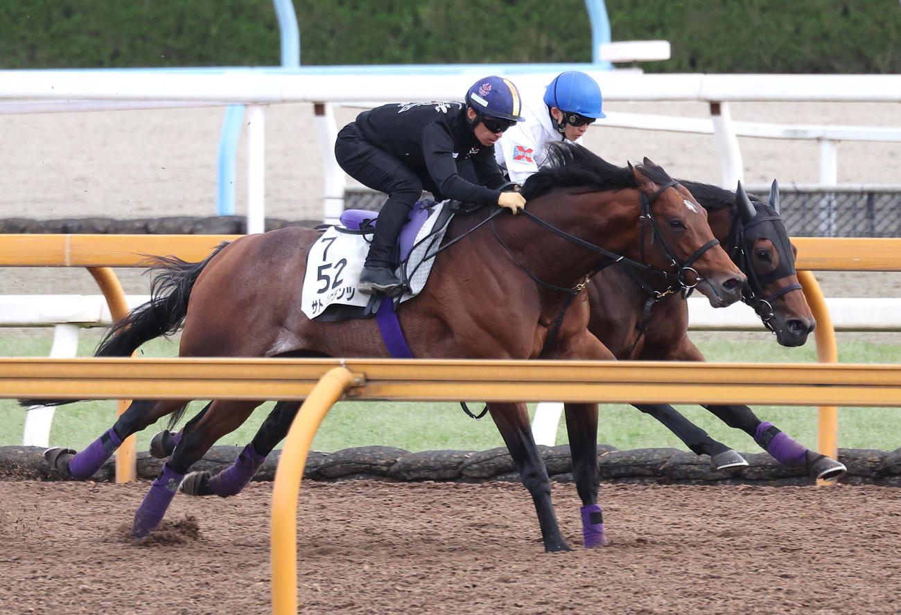 荻野琢騎手を背にCウッドをサトノグランツ（左）と併せ馬で追い切るジャスティンミラノ（撮影・白石智彦）