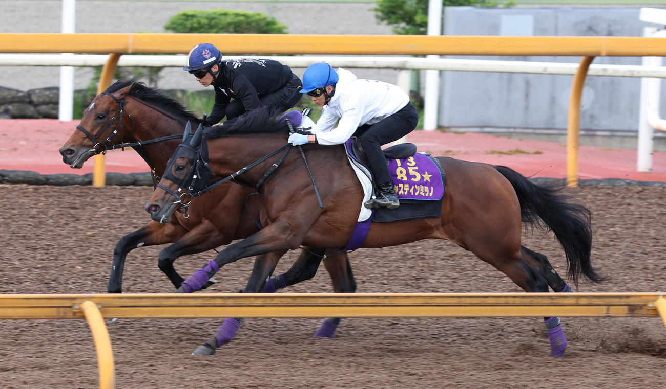 Cウッドコースにて併せ馬で追い切るジャスティンミラノ（右）