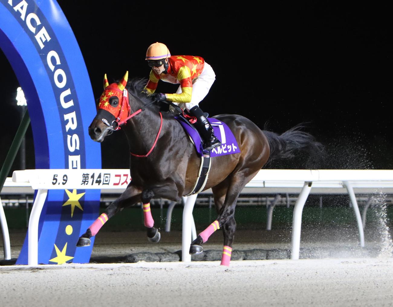 コスモバルク記念を圧勝したベルピット（撮影・奥村晶治）