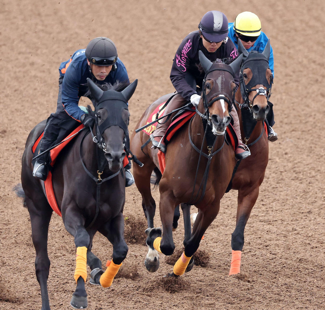 エセルフリーダ（中央）は美浦ウッドを3頭併せで追い切られた（撮影・丹羽敏通）