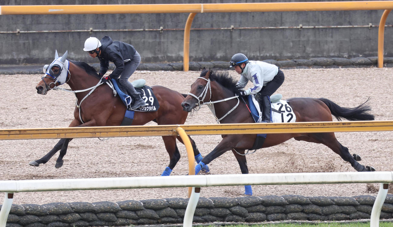 浜中騎手を背にリアライズ（右）と併せて追い切るメイショウタバル（撮影・白石智彦）