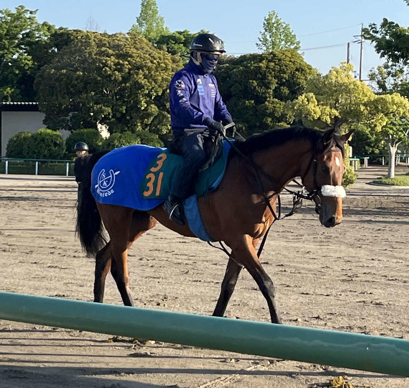 ゲート試験に合格したG1・9勝アーモンドアイの初子アロンズロッド