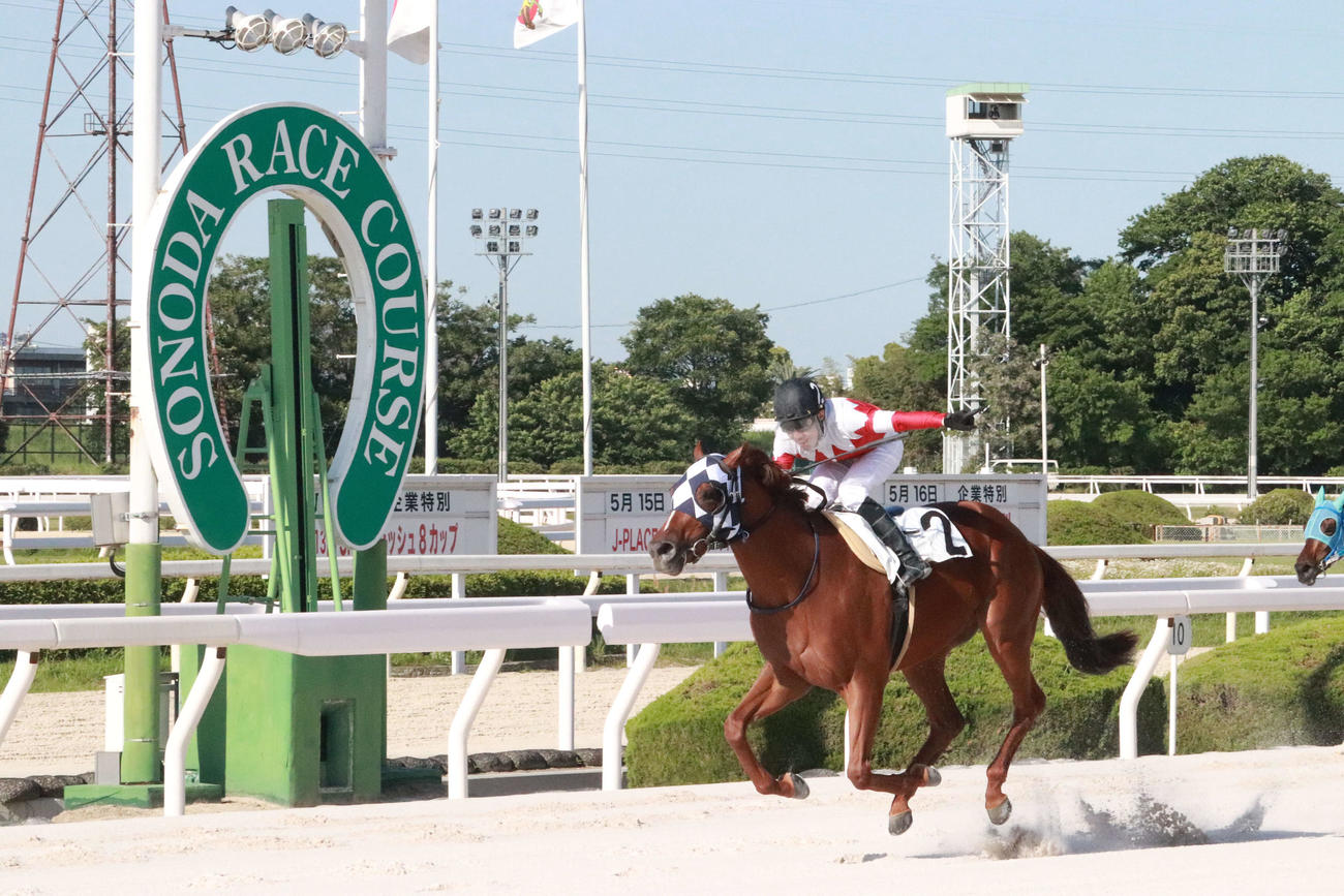園田3Rをエクスペリオンで制し、地方通算1000勝を達成した広瀬航騎手