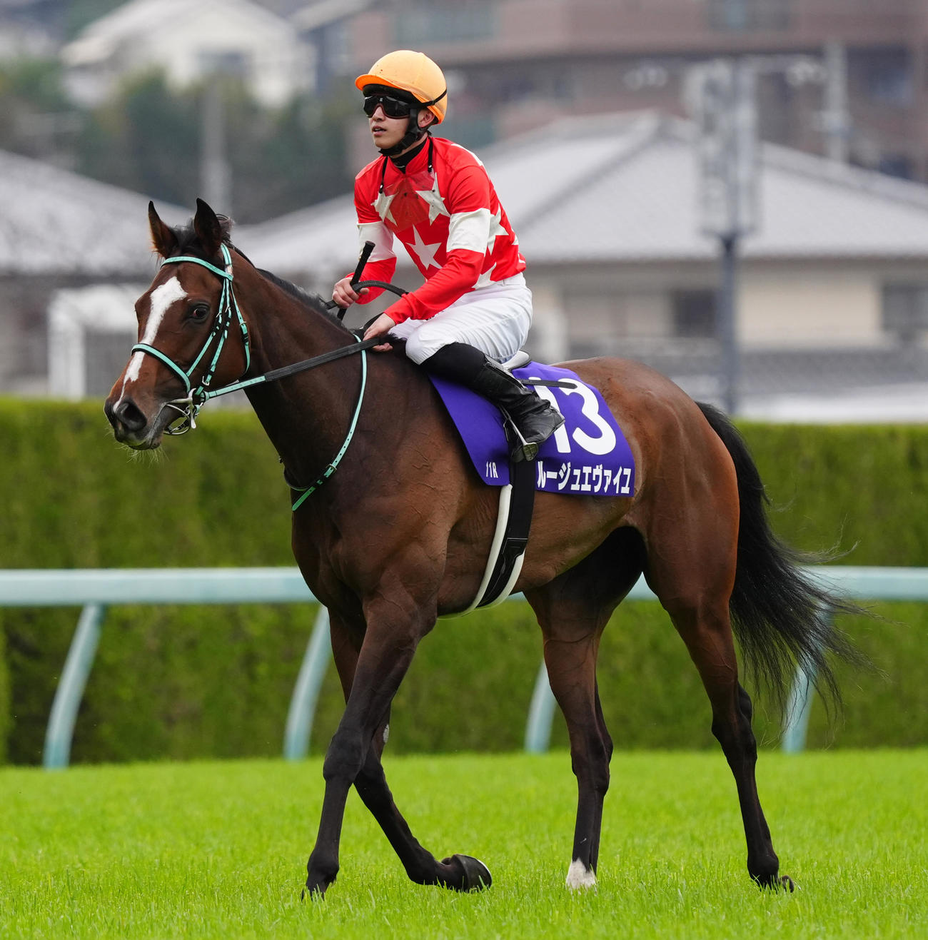 大阪杯で3着となったルージュエヴァイユ（2024年3月31日撮影）