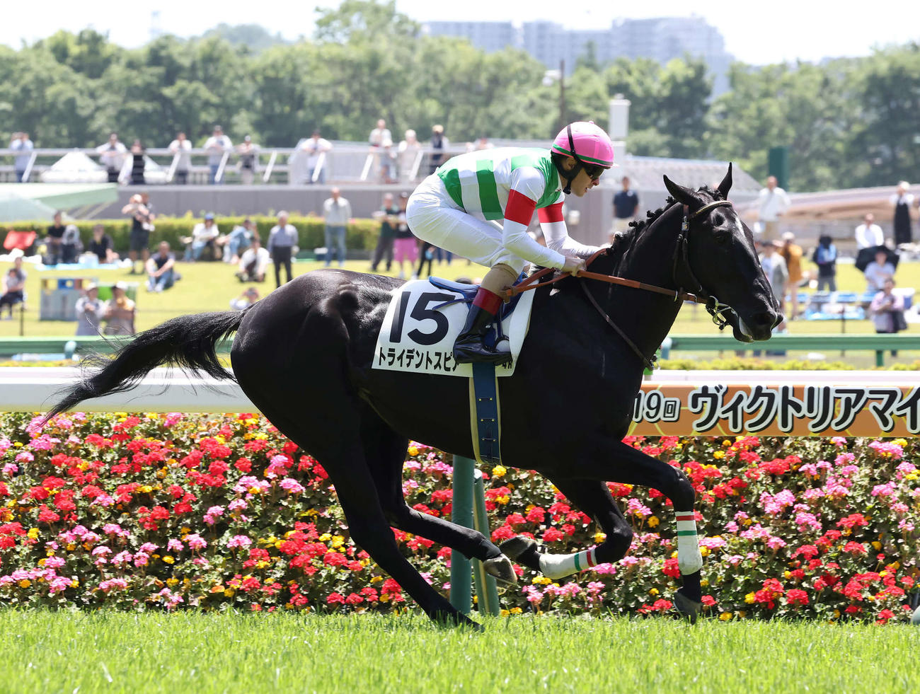 東京4R、3歳未勝利戦を制したトライデントスピアとルメール騎手（撮影・丹羽敏通）