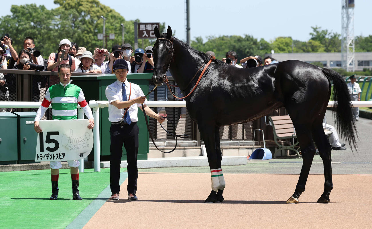 東京4R、3歳未勝利戦を制したトライデントスピアの口取りをするルメール騎手（撮影・丹羽敏通）