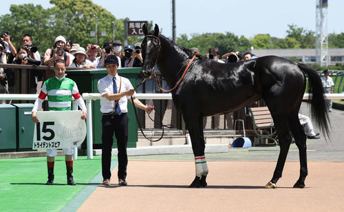 ルメール騎手がドバイでの落馬負傷復帰後初V「早いうちに勝って自信が