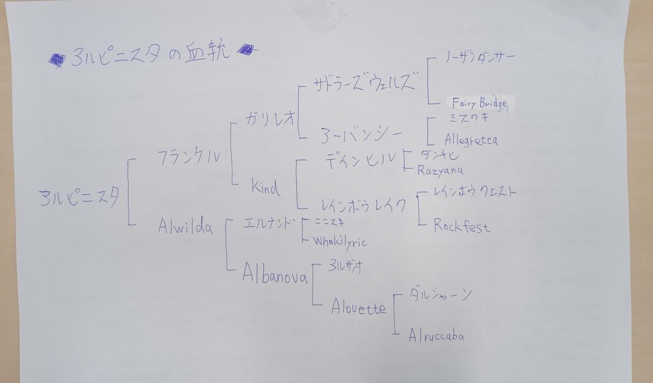 凱旋門賞を制したアルピニスタの血統表