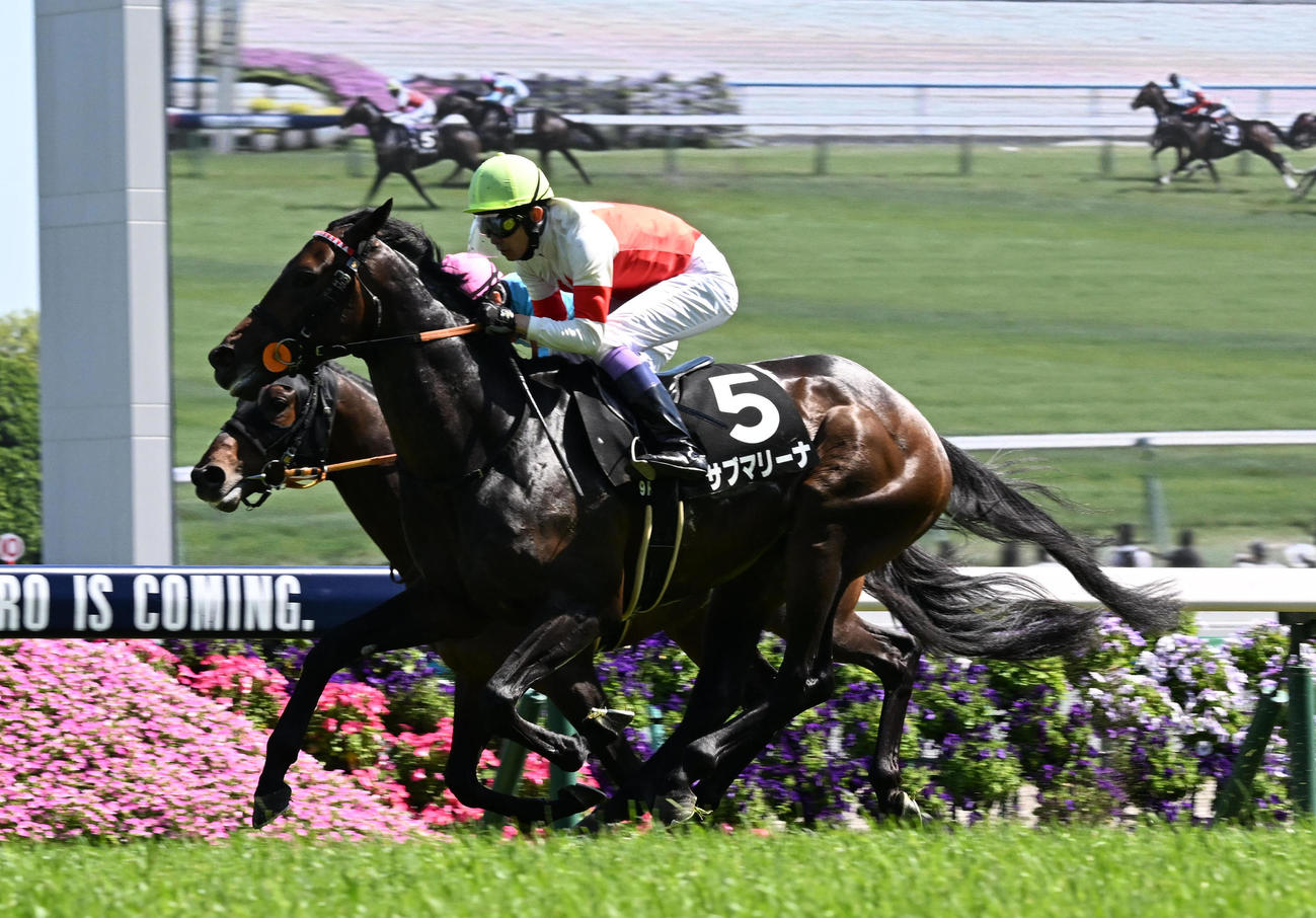 9R、あずさ賞を制したサブマリーナ（撮影・前岡正明）