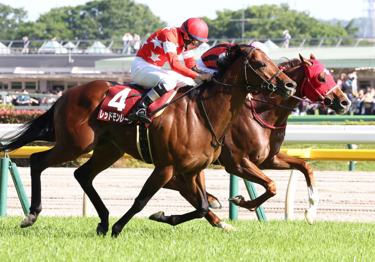 京王杯SCで2着に敗れたレッドモンレーヴ（手前）と優勝したウインマーベル（奥）