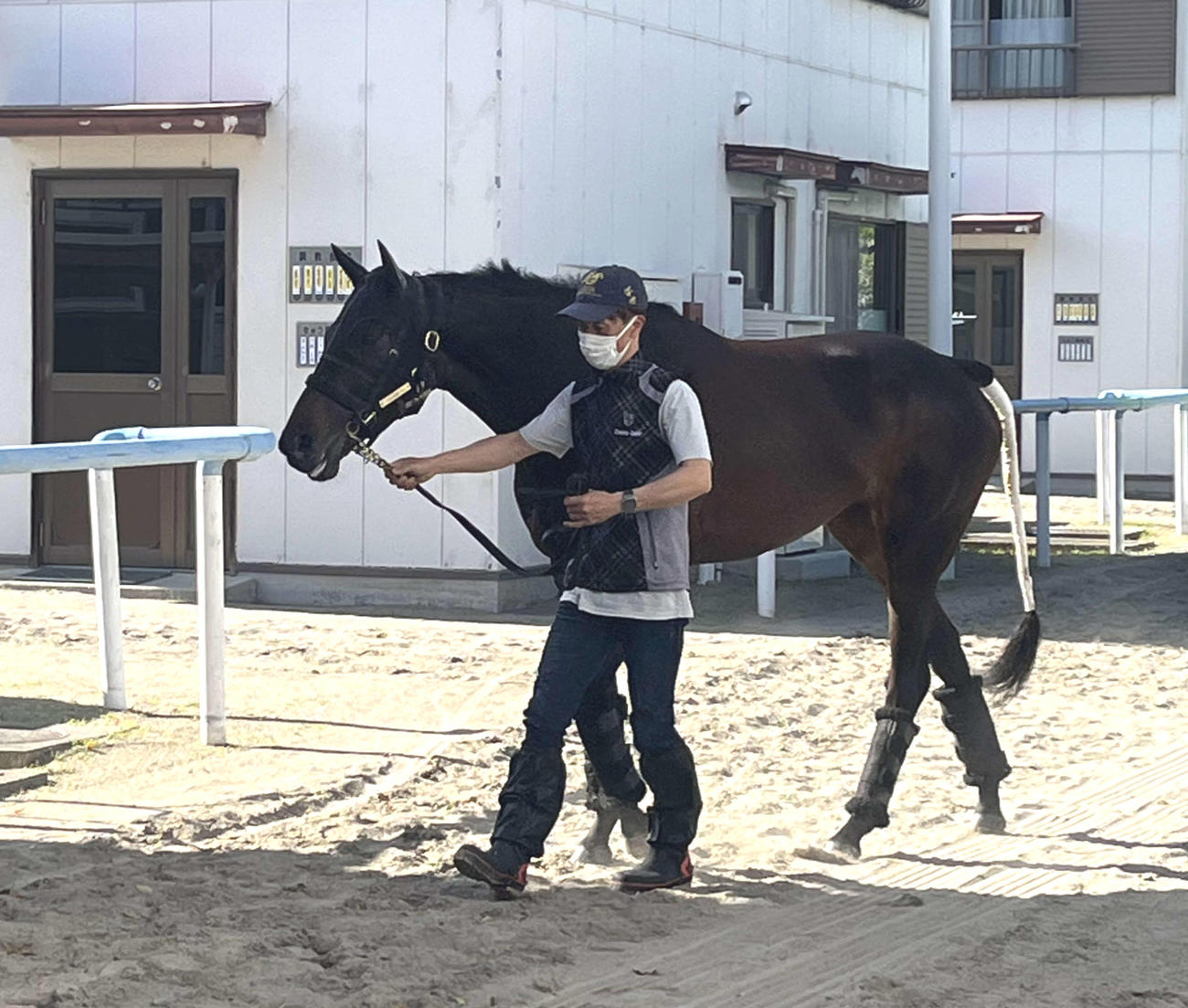 輸送を終えたマスクトディーヴァ