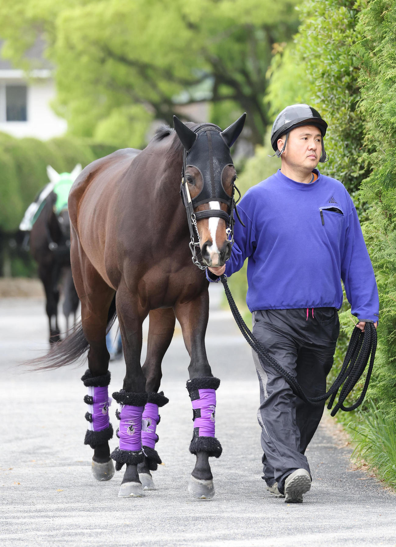 ハーパー（2024年5月9日撮影）