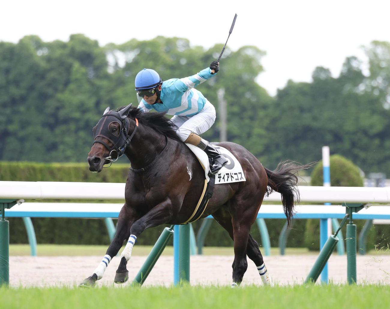 京都7R、ディアドコスで京都7Rを制しJRA通算1500勝を達成した和田竜騎手（撮影・白石智彦）