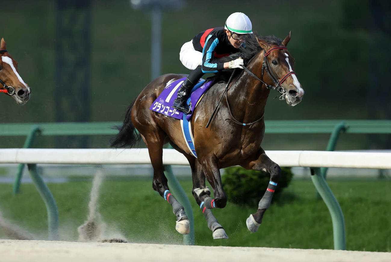 シアンモア記念を制したグランコージー（提供・岩手県競馬組合）