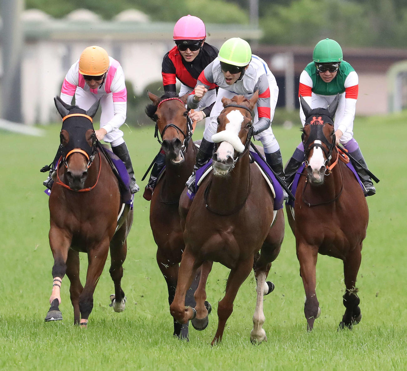 直線力強く伸びてヴィクトリアMを制したテンハッピーローズの馬上でガッツポーズを決める津村騎手