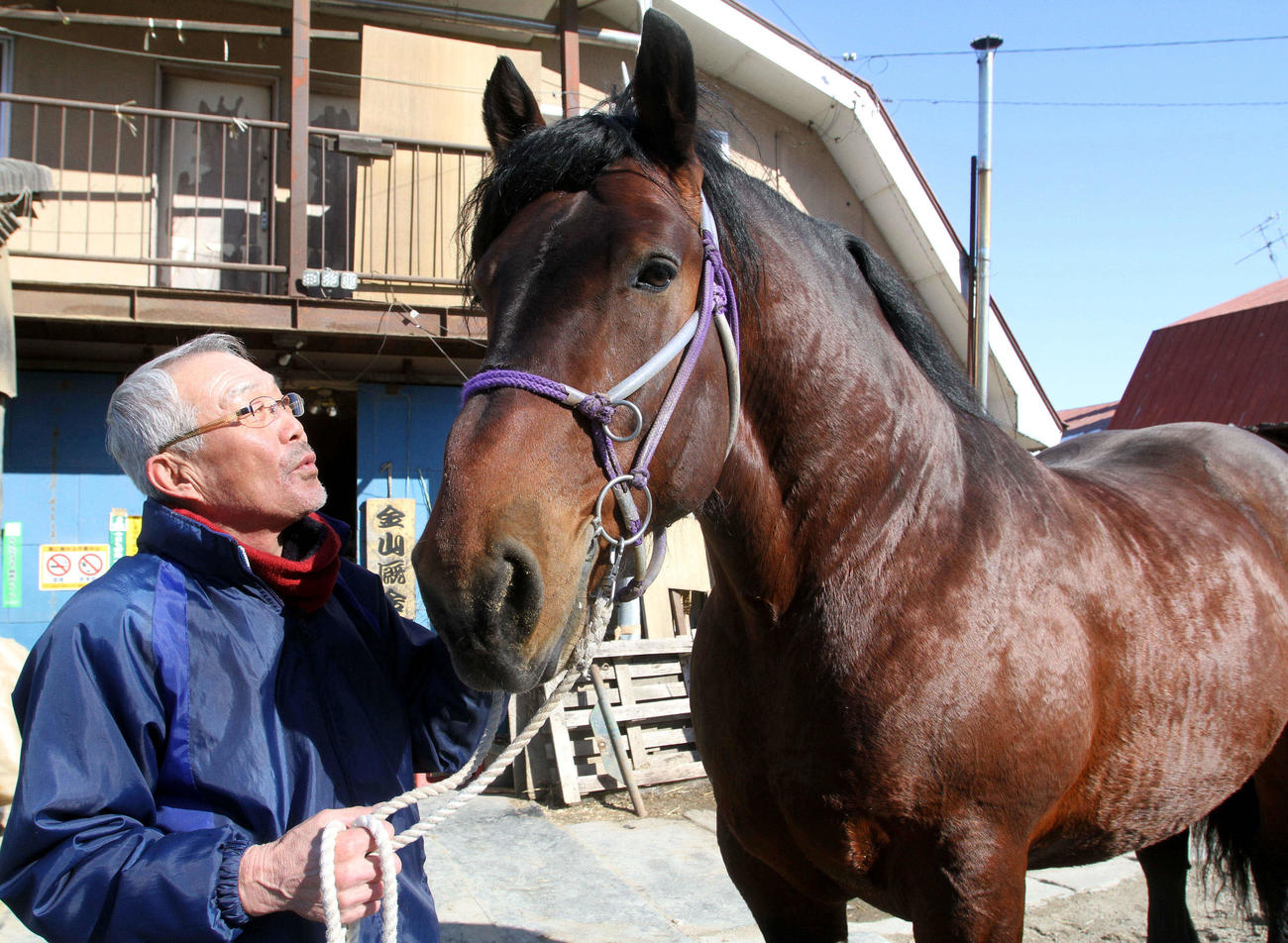 サクラリュウと金山師（18年3月撮影）