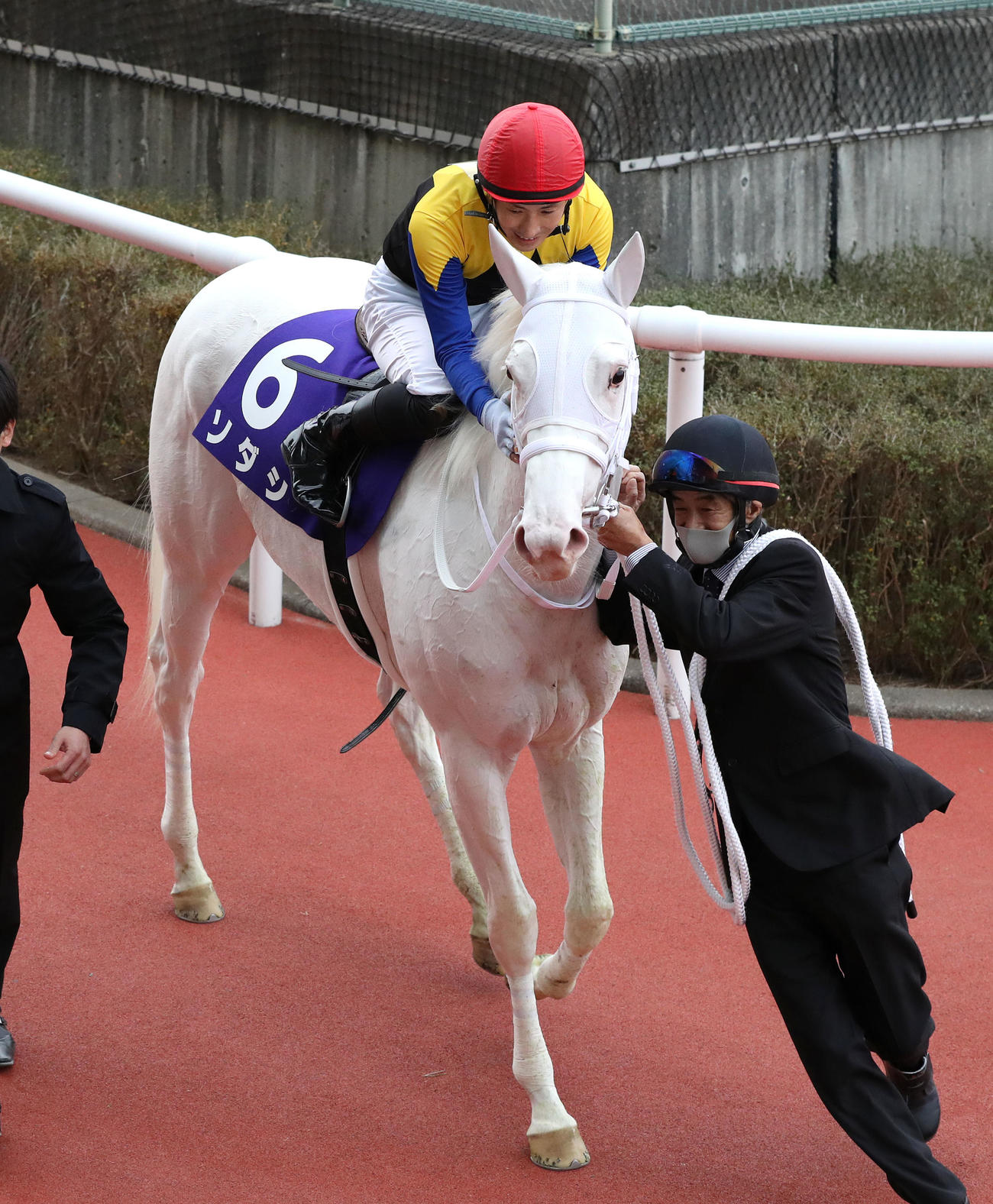 ソダシをねぎらう吉田隼人騎手（2020年撮影）