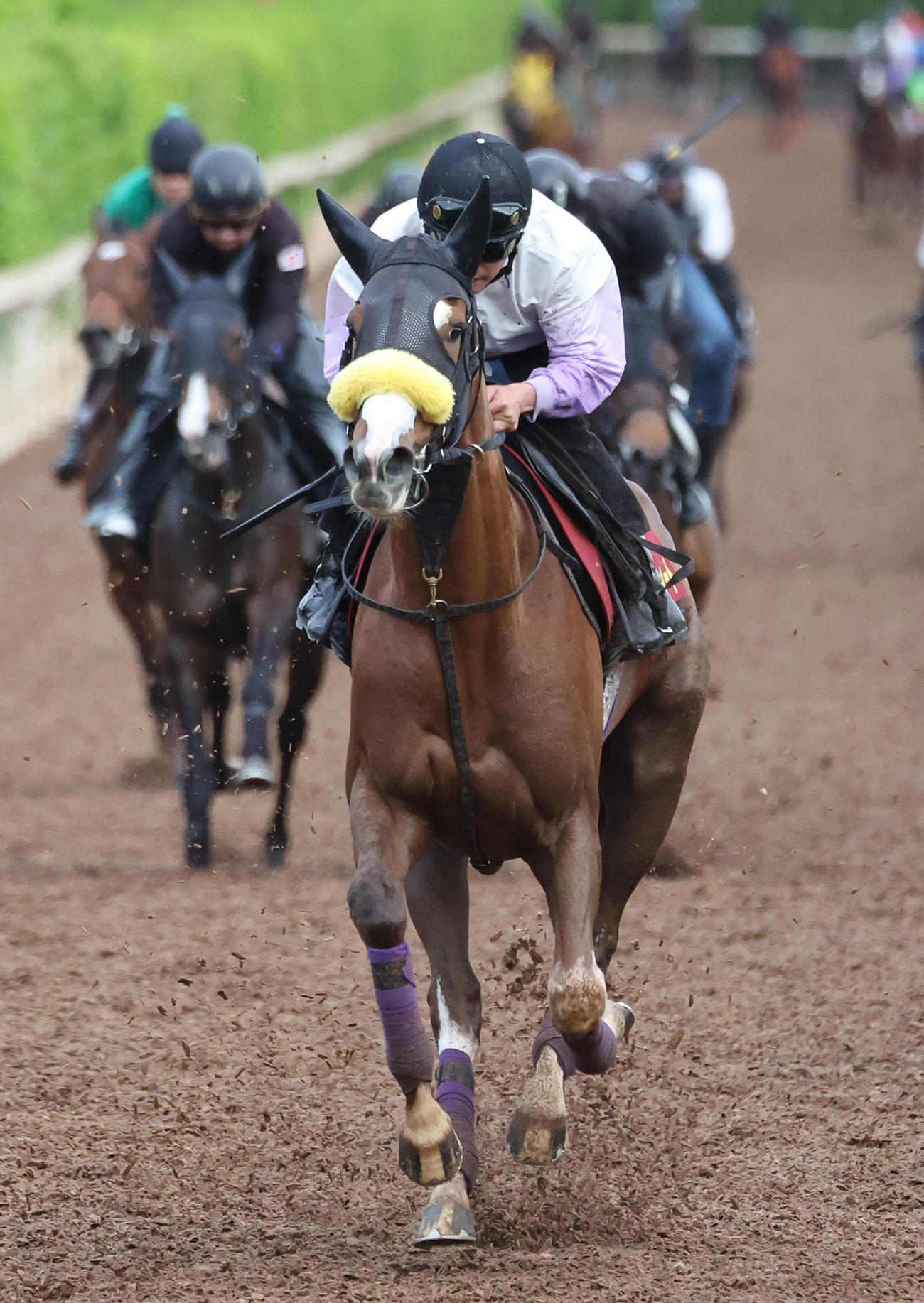 8日、坂路を併せ馬で追い切るスウィープフィート